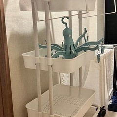 棚