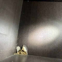 【無料】テレビ台の画像