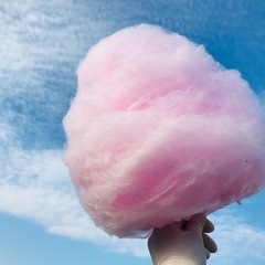 髪色髪型自由♪春休み【3/23〜31】桜♪和歌山城イベントでの飲食販売！の画像