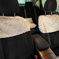 ティアナ　の画像