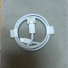 lighting ケーブル　cタイプ