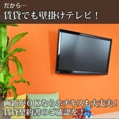 壁美人　の画像