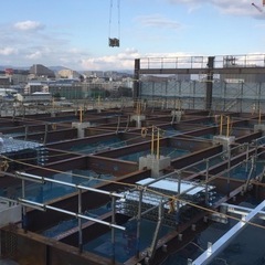とび職！楽しく働こう！！の画像