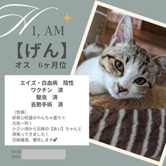 元気の塊！！【げんちゃん】