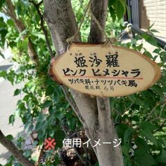《セリア》天然木インテリアプレート１個✨未使用品の画像