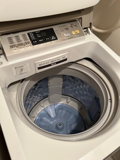 受け渡し予定者決定】パナソニック 洗濯機8.0kg 【公式通販】