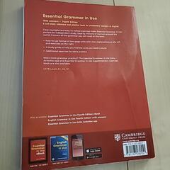 essential grammar in use の画像