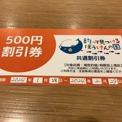 釣って見つけるぼうけんの国500円割引券