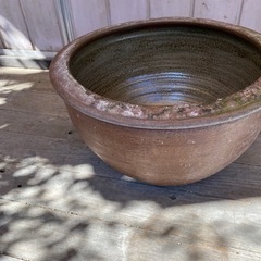 【取りに来てくれる方】水蓮鉢をお譲りします。