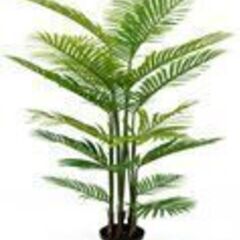 ⑬【処分価格】新品 アレカヤシ(160cm)　人工観葉植物 フェ...