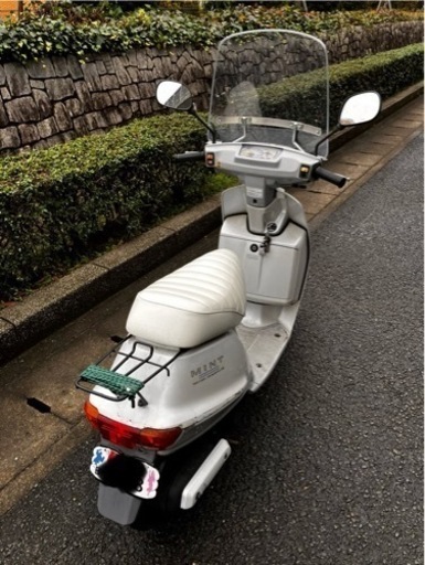 ヤマハ　ミント