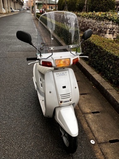 ヤマハ　ミント