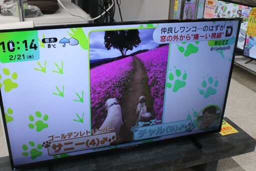 フナイ　55型液晶テレビ　2022年製　4Kチューナー搭載