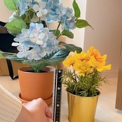 インテリア用造花　観葉植物紫陽花の画像