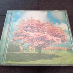 ⤵️値下げしました⤵️一青窈「ハナミズキ／年年歳歳」(2004年)💿