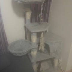 キャットタワー　(マンション3階)