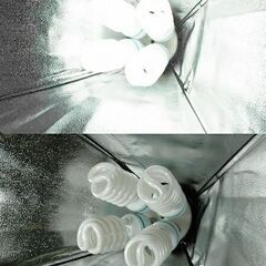 撮影用照明　蛍光ライトの画像