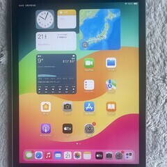 ipad mini５ A2124 silver wi-fi-cell ６４GBバッテリー１００%