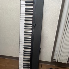 Casio ct-s1