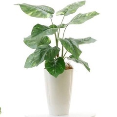 フェイクグリーン 光触媒 造花 人工 観葉植物 造花ドットコム ...