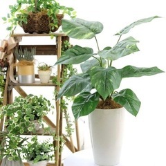 フェイクグリーン 光触媒 造花 人工 観葉植物 造花ドットコム 「ポトス 葉12枚 高さ60cm 幅50cm 奥行45cm」【白丸ポットとヤシの繊維付】の画像