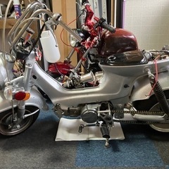 ホンダシャリーワンオフ万歳！の画像