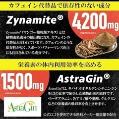 【新品未使用】TORA MENTAL トラメンタル LJ100 3,600mg Zynamite 4,200mg AstraGin 1,500mg ムクナ豆 1,500㎎ エルカンプーレ 870㎎ 全18種類の厳選原料配合 （60粒 30日用）田淵正浩プロデュース 孤独のボッキメシ （秘密結社ヤリトラ団）の画像