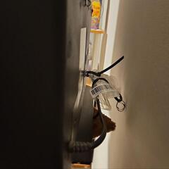 2/29まで！美品☆SHARPテレビ32インチAQUOS H H20 LC-32H20の画像