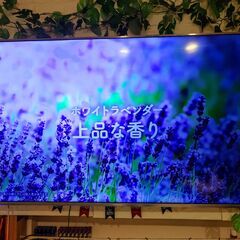 55型スマートテレビ ハイセンス 55A6500 2019年製 訳あり