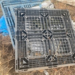 決まりました！　プラスチックパレット3枚　もらってくださいm(__)m