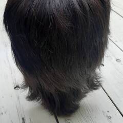 美容師国家試験の練習に使ったウィッグもらってください