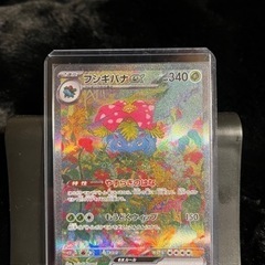 ポケモンカード　御三家SARセット　フシギバナ　リザードン　カメックス