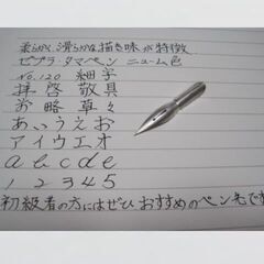 45.替えペン先【ゼブラ・タマペン　№120 】ニューム　20本　防錆紙入りケース　やわらかく、なめらかな描き味が特徴で初級者の方にお薦めの画像