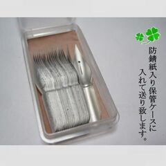 45.替えペン先【ゼブラ・タマペン　№120 】ニューム　20本　防錆紙入りケース　やわらかく、なめらかな描き味が特徴で初級者の方にお薦めの画像