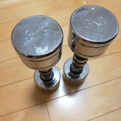 ダンベル2本　3kg
