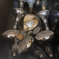 爬虫類ライト