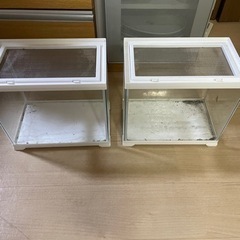 水槽　2個セット　爬虫類　両生類　熱帯魚