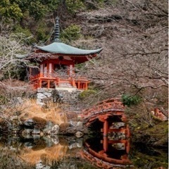 3/9開催！お写んぽ　カメラ活動 - メンバー募集