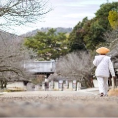 3/9開催！お写んぽ　カメラ活動 − 京都府