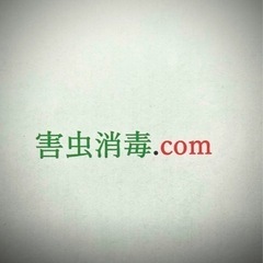 白蟻消毒お考え中の方必見‼️