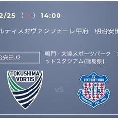 徳島ヴォルティス開幕戦チケット　メインA自由席　1枚