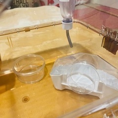 美品！小動物　ゲージの画像