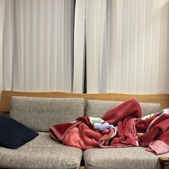 3人掛けソファー 決まりましたの画像