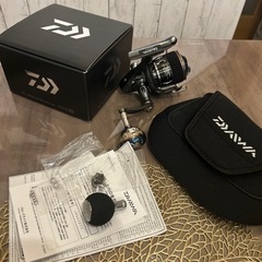 16キャタリナ4000H
