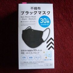 ダイソーの不織布ブラックマスクです