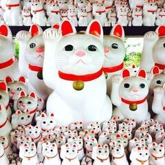 アバンギャルディのライブ　行きませんか！　癒されますよ！　年齢不問　 - 品川区