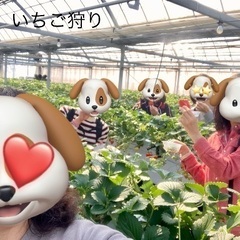 👩女性限定！3月27日(水)金華山にハイキング！ − 愛知県