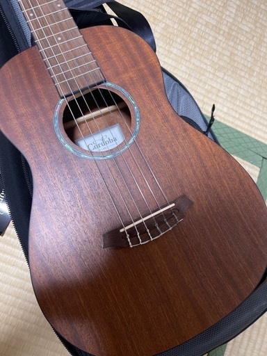 ギター3つセット広瀬博彦クラシックギター、TOKAIエレキギターなど