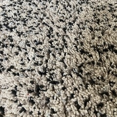 ラグの画像
