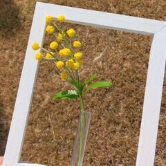 3月は樹脂粘土でミモザをつくります🎵